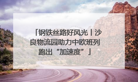 钢铁丝路好风光丨沙良物流园助力中欧班列跑出“加速度”