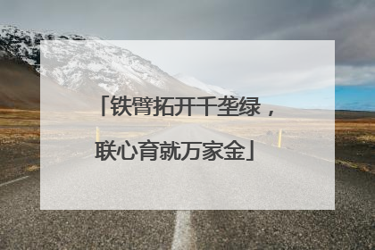 铁臂拓开千垄绿，联心育就万家金