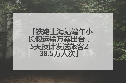 铁路上海站端午小长假运输方案出台，5天预计发送旅客238.5万人次