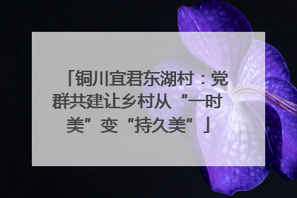 铜川宜君东湖村：党群共建让乡村从“一时美”变“持久美”