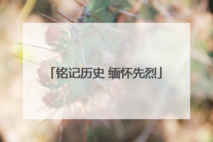 铭记历史 缅怀先烈