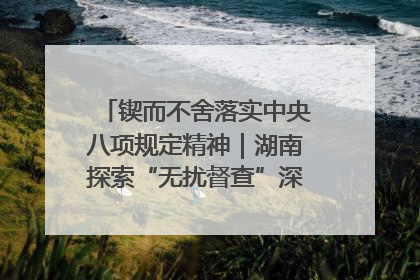 锲而不舍落实中央八项规定精神｜湖南探索“无扰督查”深化基层减负
