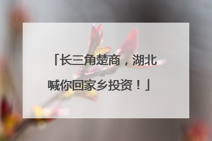 长三角楚商，湖北喊你回家乡投资！