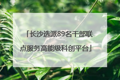 长沙选派89名干部联点服务高能级科创平台