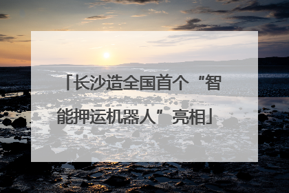 长沙造全国首个“智能押运机器人”亮相