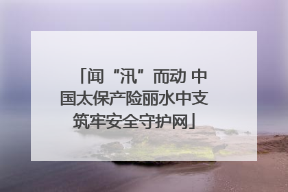 闻“汛”而动 中国太保产险丽水中支筑牢安全守护网