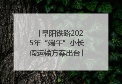 阜阳铁路2025年“端午”小长假运输方案出台