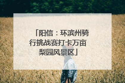 阳信：环滨州骑行挑战赛打卡万亩梨园风景区
