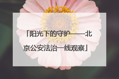 阳光下的守护——北京公安法治一线观察