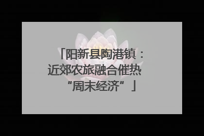 阳新县陶港镇：近郊农旅融合催热“周末经济”