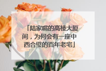 陆家嘴的高楼大厦间，为何会有一座中西合璧的百年老宅