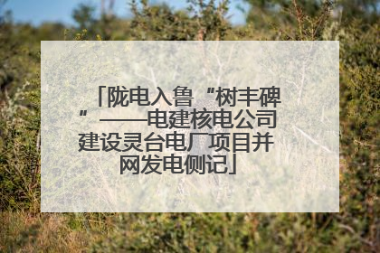 陇电入鲁“树丰碑”——电建核电公司建设灵台电厂项目并网发电侧记