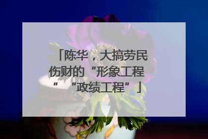 陈华，大搞劳民伤财的“形象工程”“政绩工程”