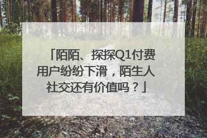 陌陌、探探Q1付费用户纷纷下滑，陌生人社交还有价值吗？