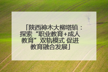 陕西神木大柳塔镇：探索“职业教育+成人教育”双轨模式 促进教育融合发展