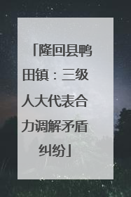 隆回县鸭田镇：三级人大代表合力调解矛盾纠纷