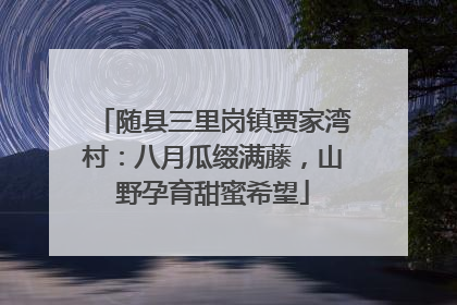 随县三里岗镇贾家湾村：八月瓜缀满藤，山野孕育甜蜜希望