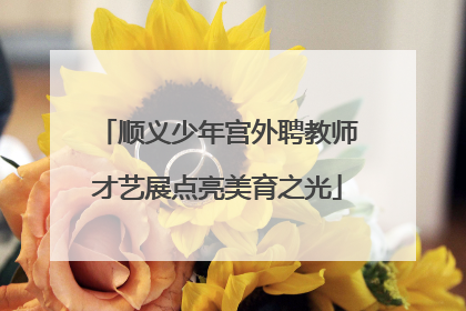 顺义少年宫外聘教师才艺展点亮美育之光