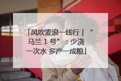 风吹麦浪一线行｜“马兰 1 号”：少浇一次水 多产一成粮