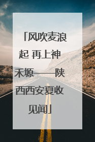 风吹麦浪起 再上神禾塬——陕西西安夏收见闻