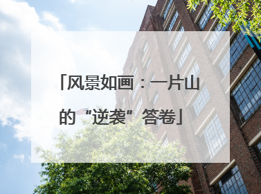 风景如画：一片山的“逆袭”答卷