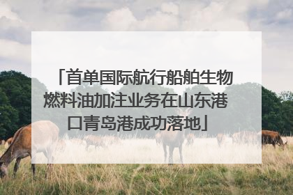 首单国际航行船舶生物燃料油加注业务在山东港口青岛港成功落地