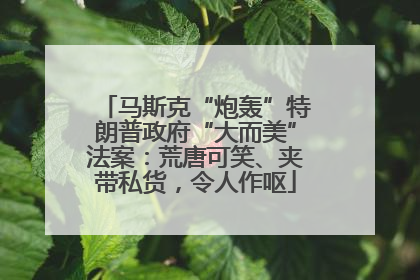 马斯克“炮轰”特朗普政府“大而美”法案：荒唐可笑、夹带私货，令人作呕