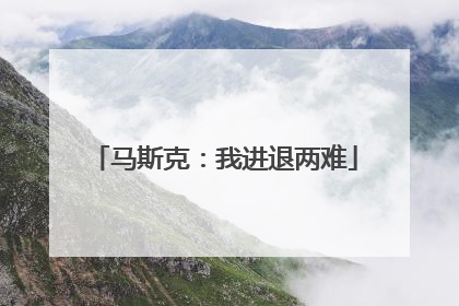 马斯克：我进退两难