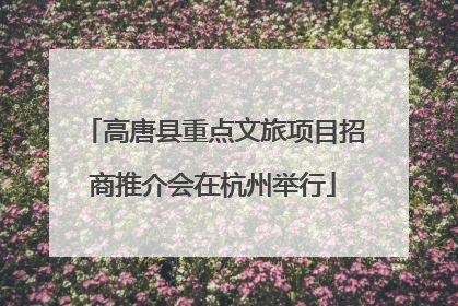 高唐县重点文旅项目招商推介会在杭州举行