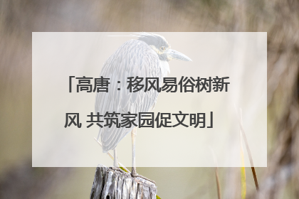 高唐：移风易俗树新风 共筑家园促文明