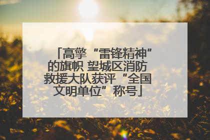 高擎“雷锋精神”的旗帜 望城区消防救援大队获评“全国文明单位”称号