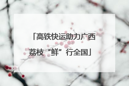 高铁快运助力广西荔枝“鲜”行全国