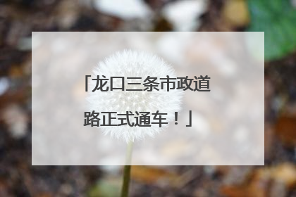 龙口三条市政道路正式通车！