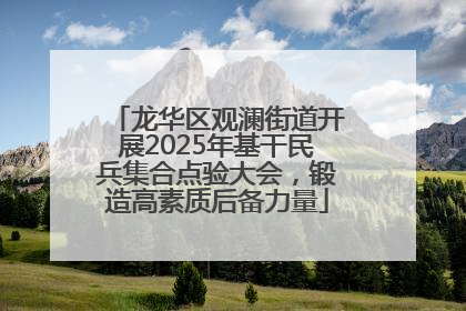 龙华区观澜街道开展2025年基干民兵集合点验大会，锻造高素质后备力量