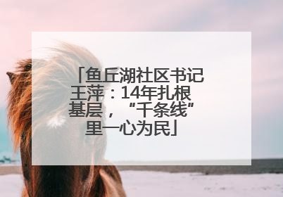 鱼丘湖社区书记王萍：14年扎根基层，“千条线”里一心为民