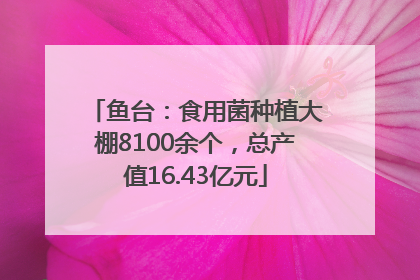 鱼台：食用菌种植大棚8100余个，总产值16.43亿元
