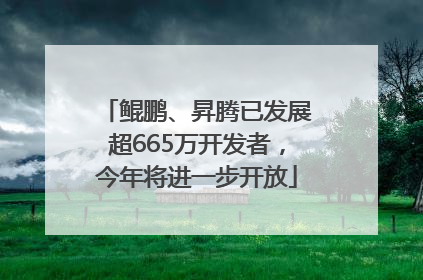 鲲鹏、昇腾已发展超665万开发者，今年将进一步开放