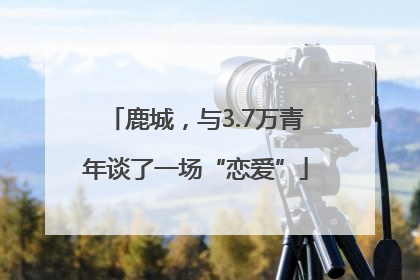 鹿城，与3.7万青年谈了一场“恋爱”