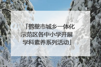 鹤壁市城乡一体化示范区各中小学开展学科素养系列活动