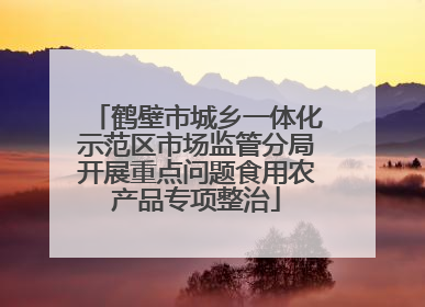 鹤壁市城乡一体化示范区市场监管分局开展重点问题食用农产品专项整治
