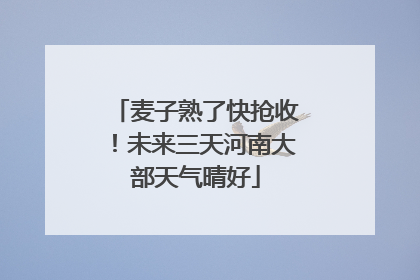 麦子熟了快抢收！未来三天河南大部天气晴好