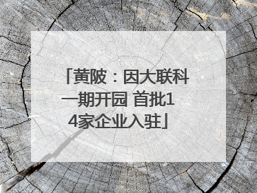 黄陂：因大联科一期开园 首批14家企业入驻