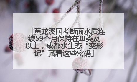 黄龙溪国考断面水质连续59个月保持在Ⅲ类及以上，成都水生态“变形记”藏着这些密码