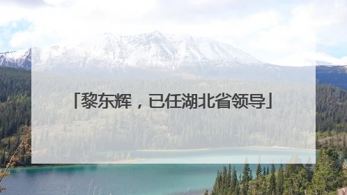 黎东辉，已任湖北省领导
