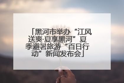 黑河市举办“江风送爽·夏享黑河”夏季避暑旅游“百日行动”新闻发布会