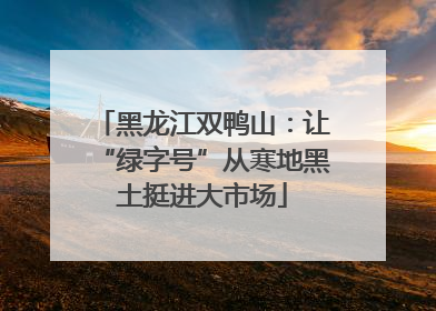 黑龙江双鸭山：让“绿字号”从寒地黑土挺进大市场