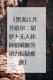 黑龙江齐齐哈尔：胡萝卜无人化种植破解劳动力短缺难题