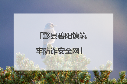 黟县碧阳镇筑牢防诈安全网