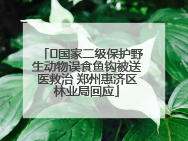 ﻿国家二级保护野生动物误食鱼钩被送医救治 郑州惠济区林业局回应
