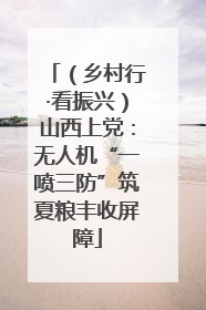 （乡村行·看振兴）山西上党：无人机“一喷三防”筑夏粮丰收屏障